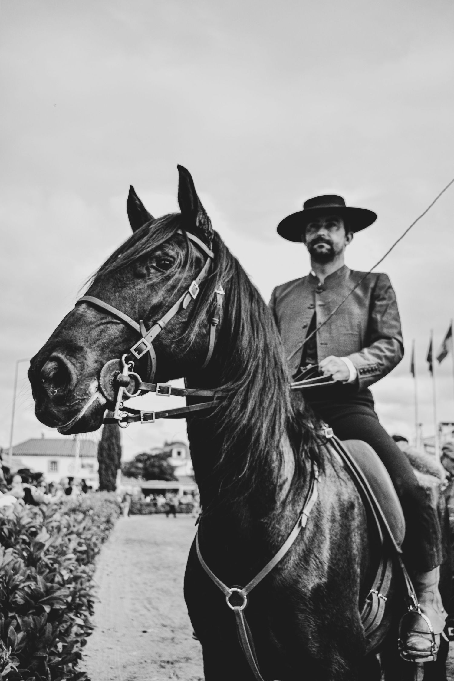 homem a cavalo durante a feira do cavalo, na golegã, novembro 2023