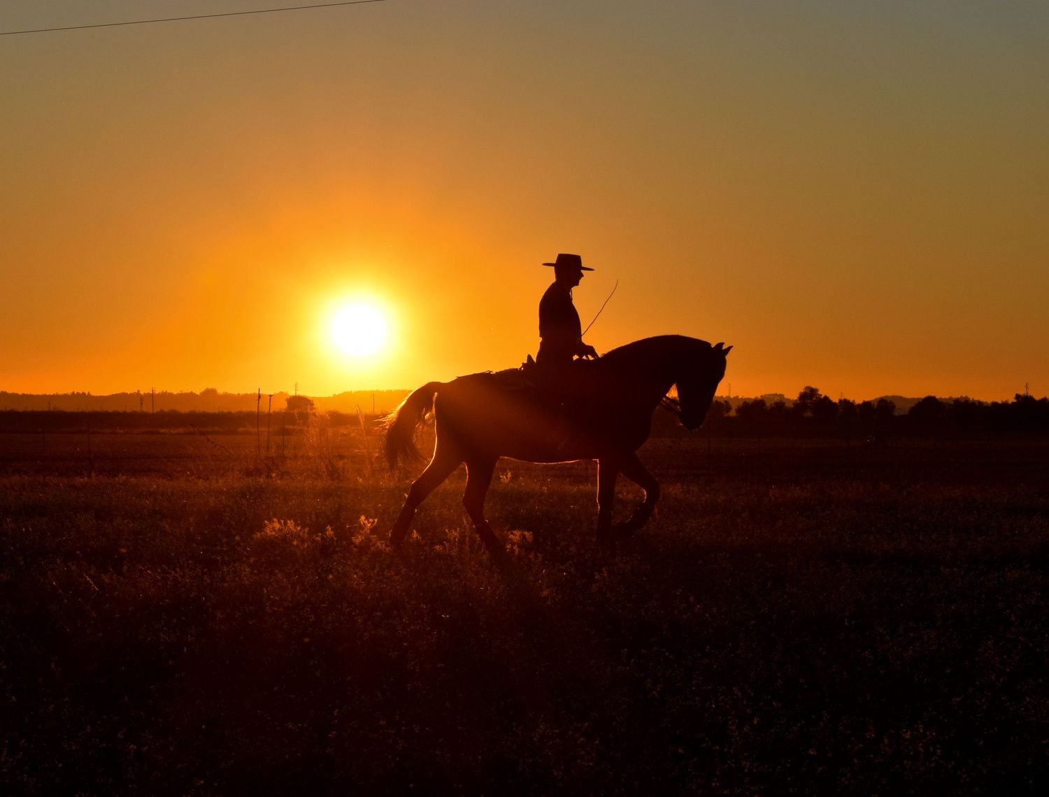 homem a cavalo durante a feira do cavalo, ao por do sol, na golegã, novembro 2023