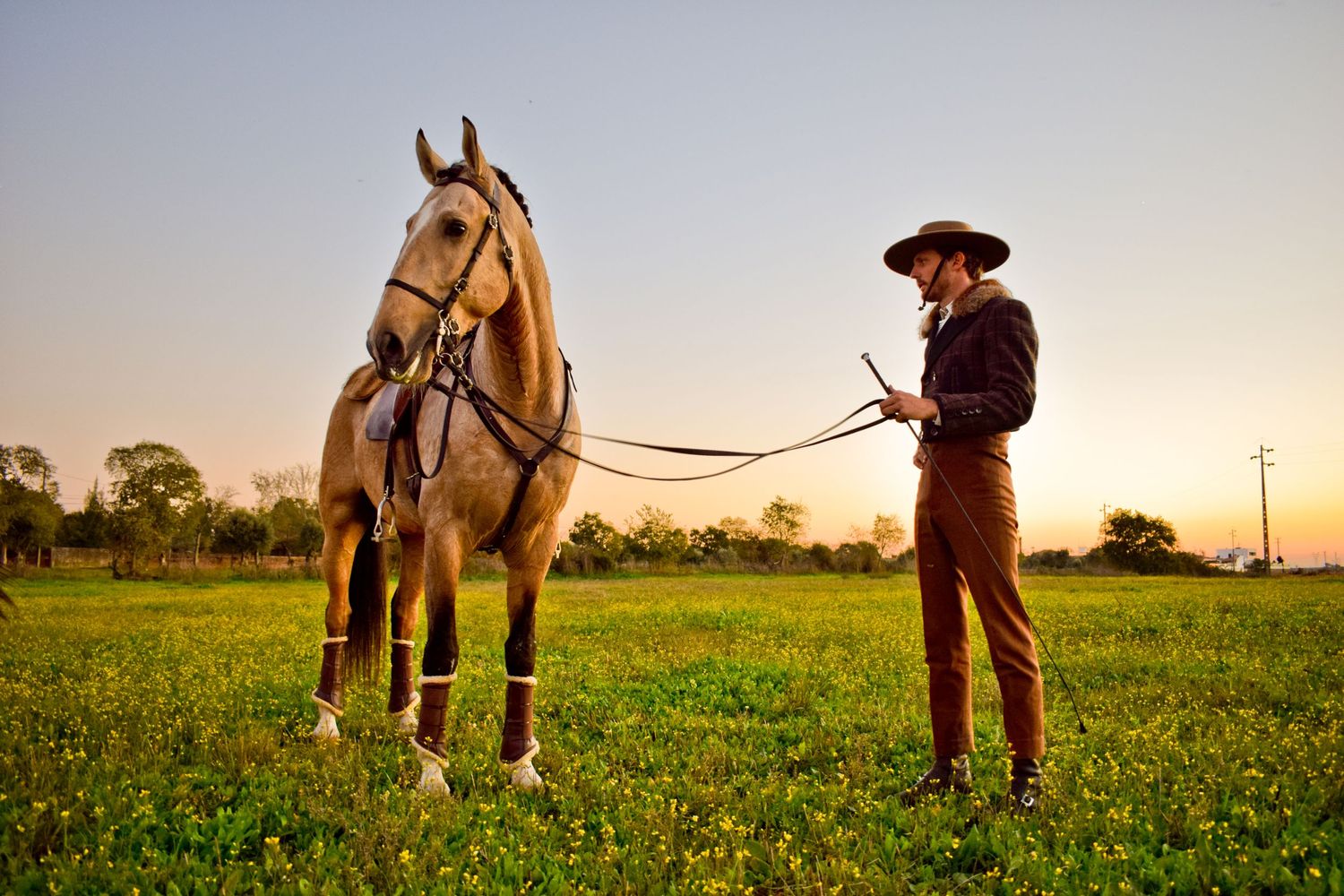homem a cavalo durante a feira do cavalo, na golegã, novembro 2023