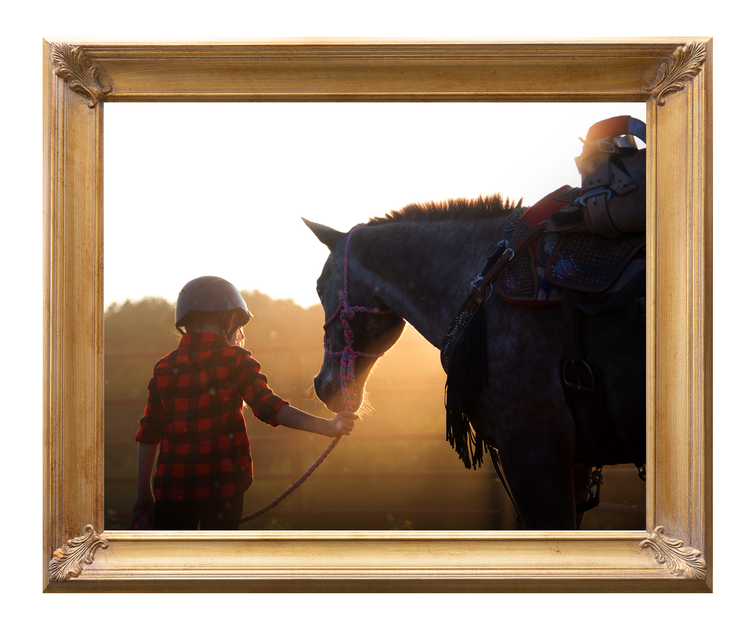 Frames with Canvas.