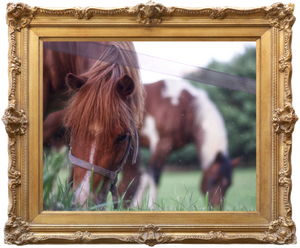 Frames with Canvas.
