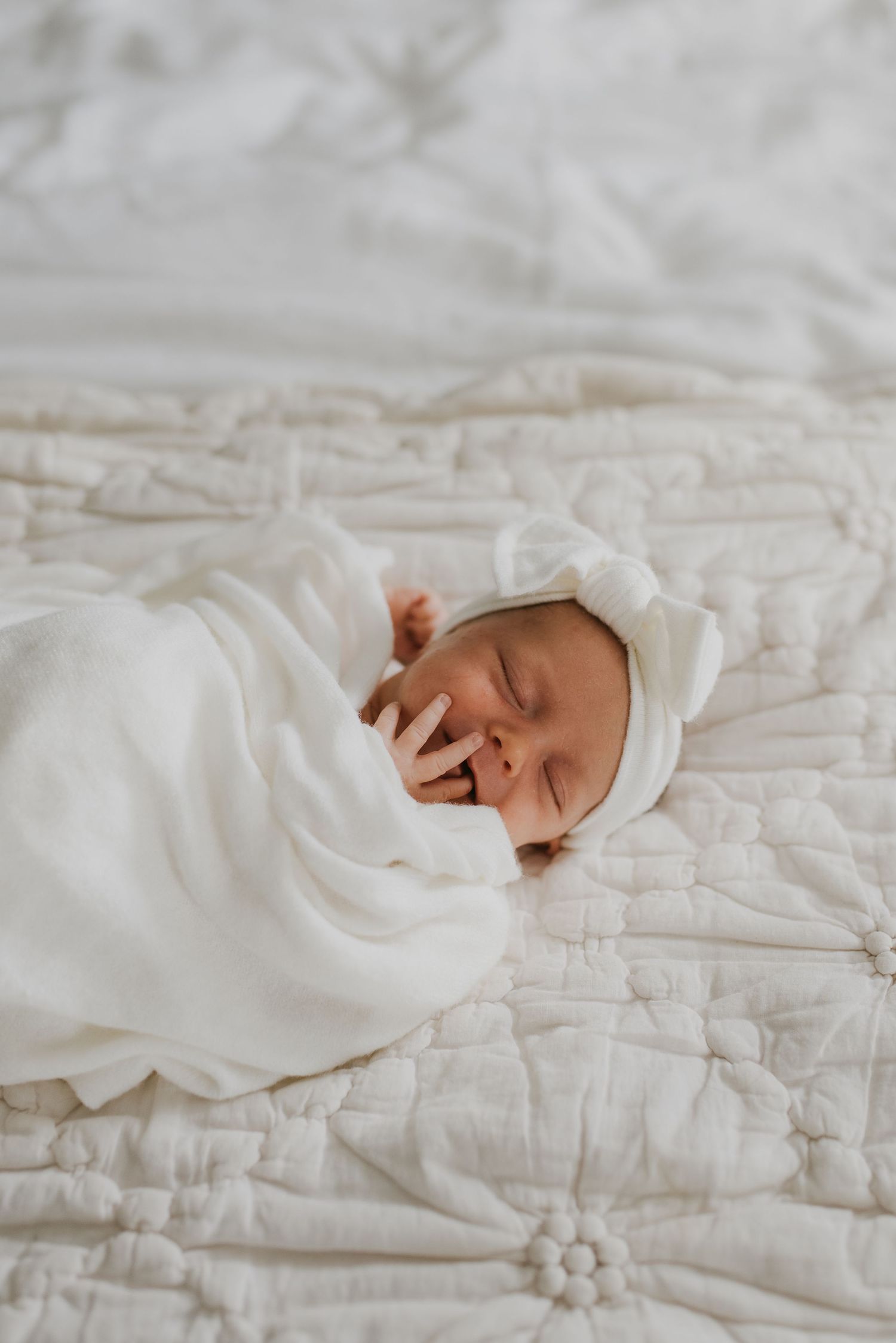 Knoxville Newborn Photographer