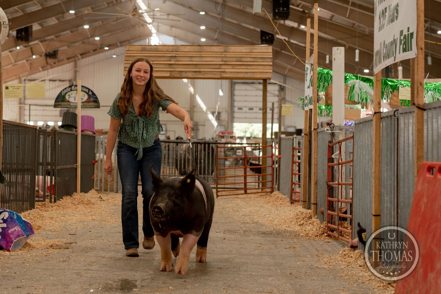 A Hampshire pig being guided through an exhibition barn aisle lined with metal gates and decorations.