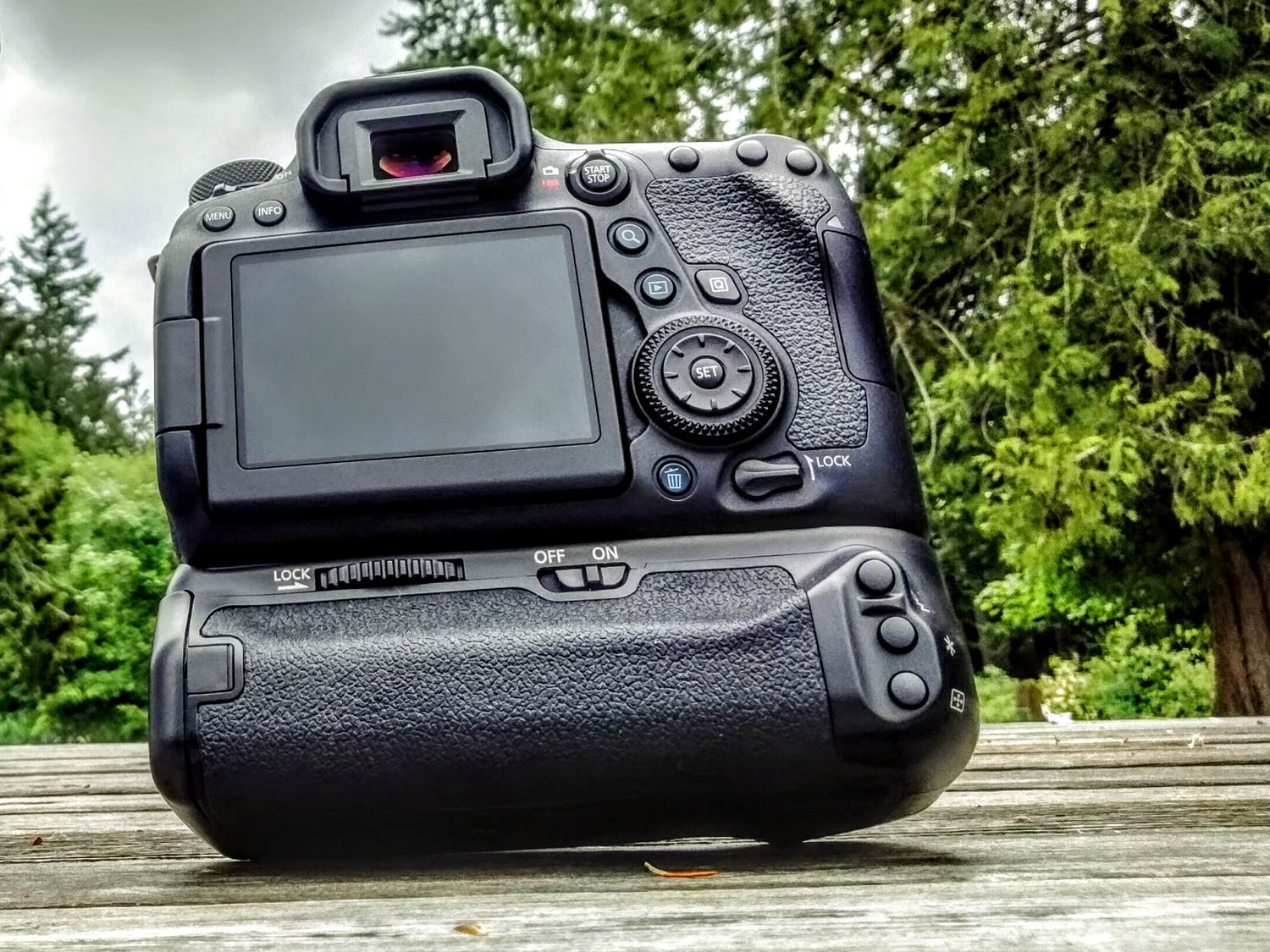 Close-up of a DSLR camera with battery grip positioned on a wooden surface with green foliage in the background.
