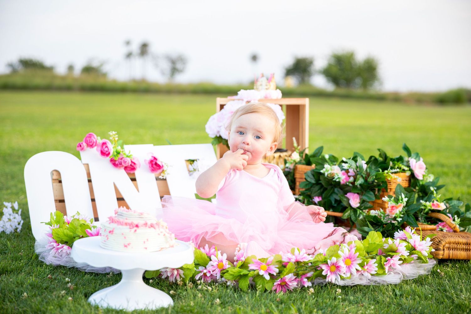 birthday photoshoot with  girl in pink tutu sitting near ONE sign and birthday cake surrounded by flowers outdoors.