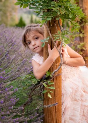 Beautiful little girl in blush ruffle dress hugs vine-wrapped wooden post in blooming lavender field.