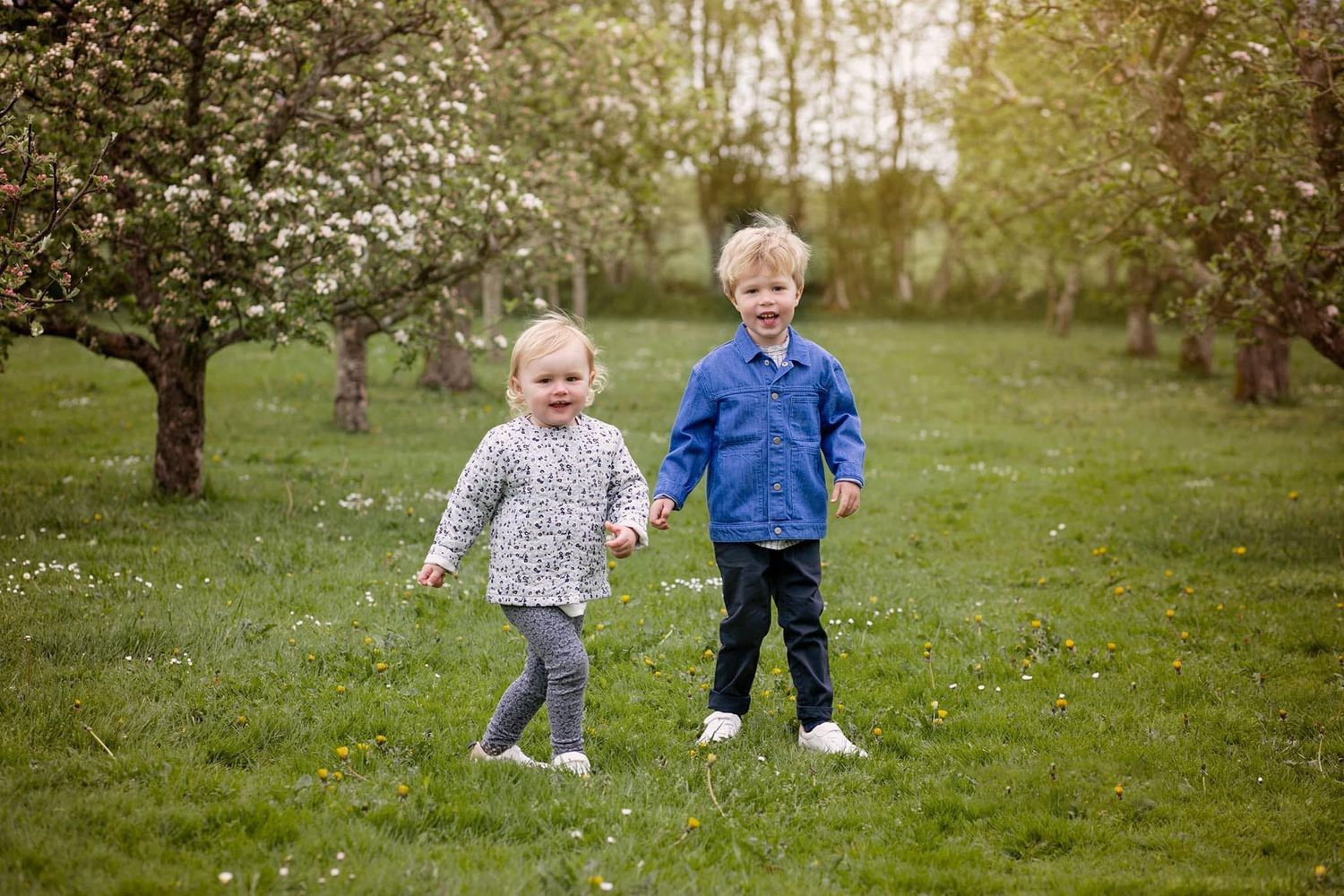 To små børn holder i hånden og går sammen i en blomstrende frugthave.
