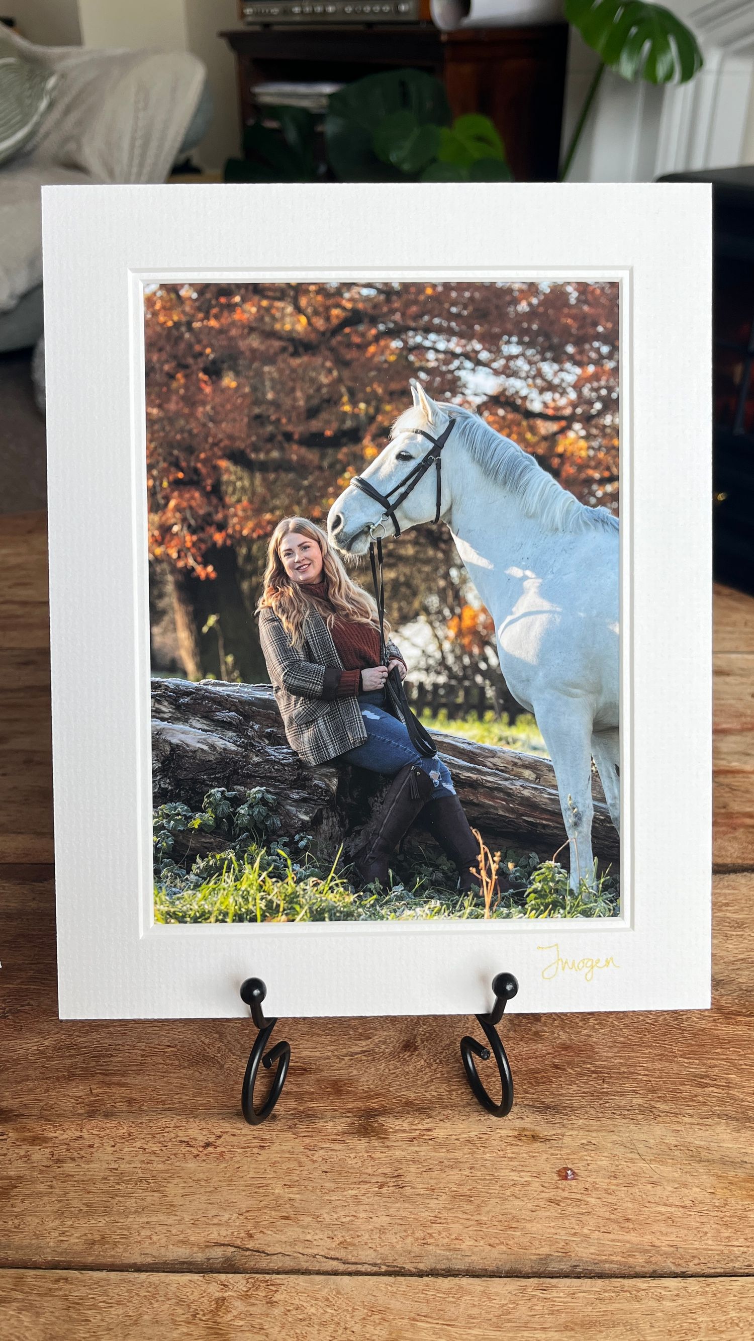 A serene autumn photo shoot featuring a white horse and autumn foliage displayed in a white frame.