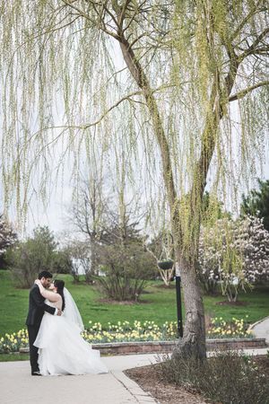 Weddings Captured By Ivan - Weeping Willow