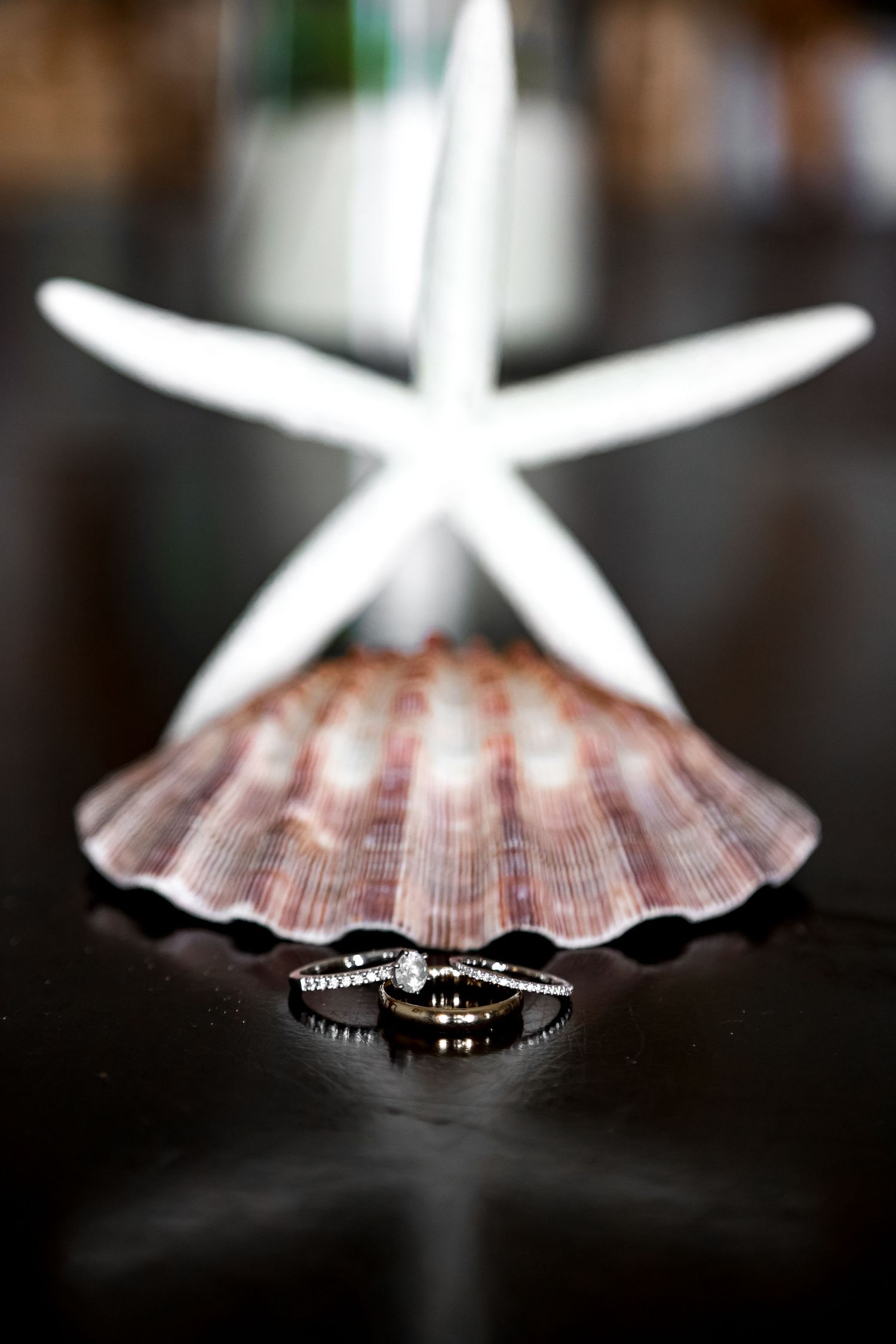 Wedding rings displayed artistically on a seashell with a white starfish decoration.