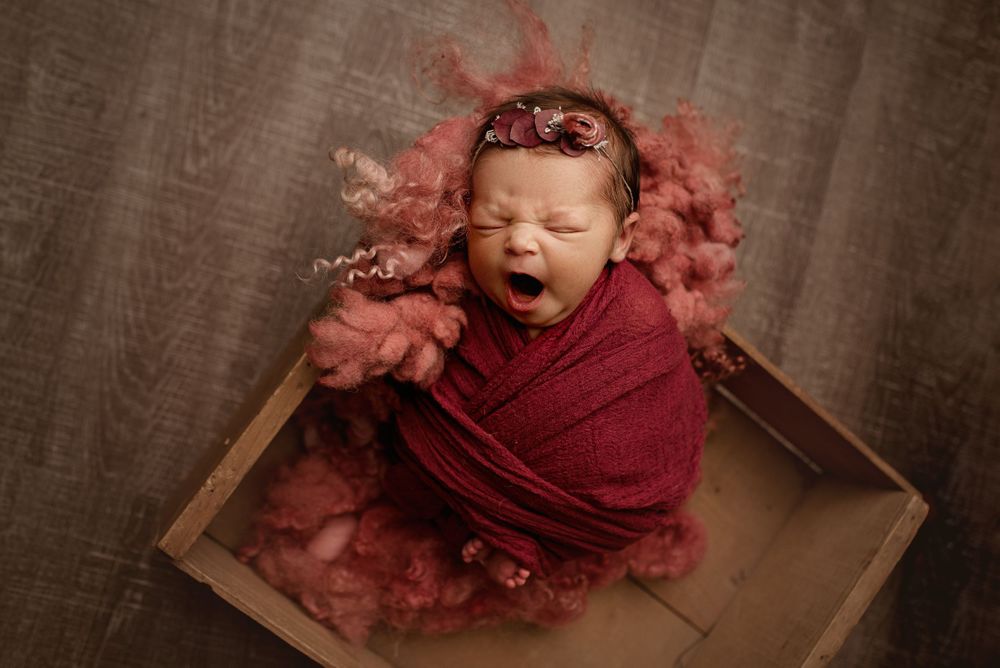 newborn photographer wny, wny photographer, baby photographer lockport ny, buffalo newborn photographer, wny newborn pho