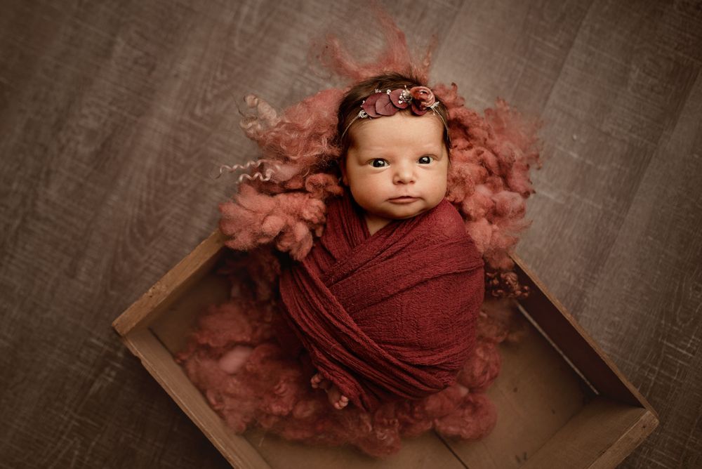 newborn photographer wny, wny photographer, baby photographer lockport ny, buffalo newborn photographer, wny newborn pho