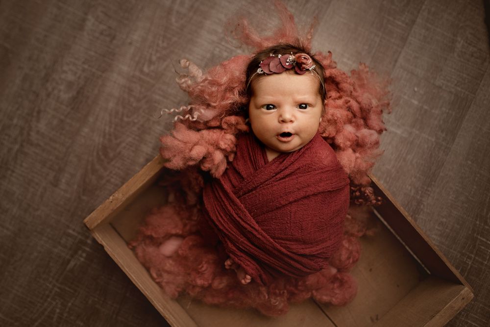 newborn photographer wny, wny photographer, baby photographer lockport ny, buffalo newborn photographer, wny newborn pho