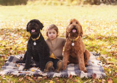 A child sits between two large dogs on a blanket in autumn leaves.