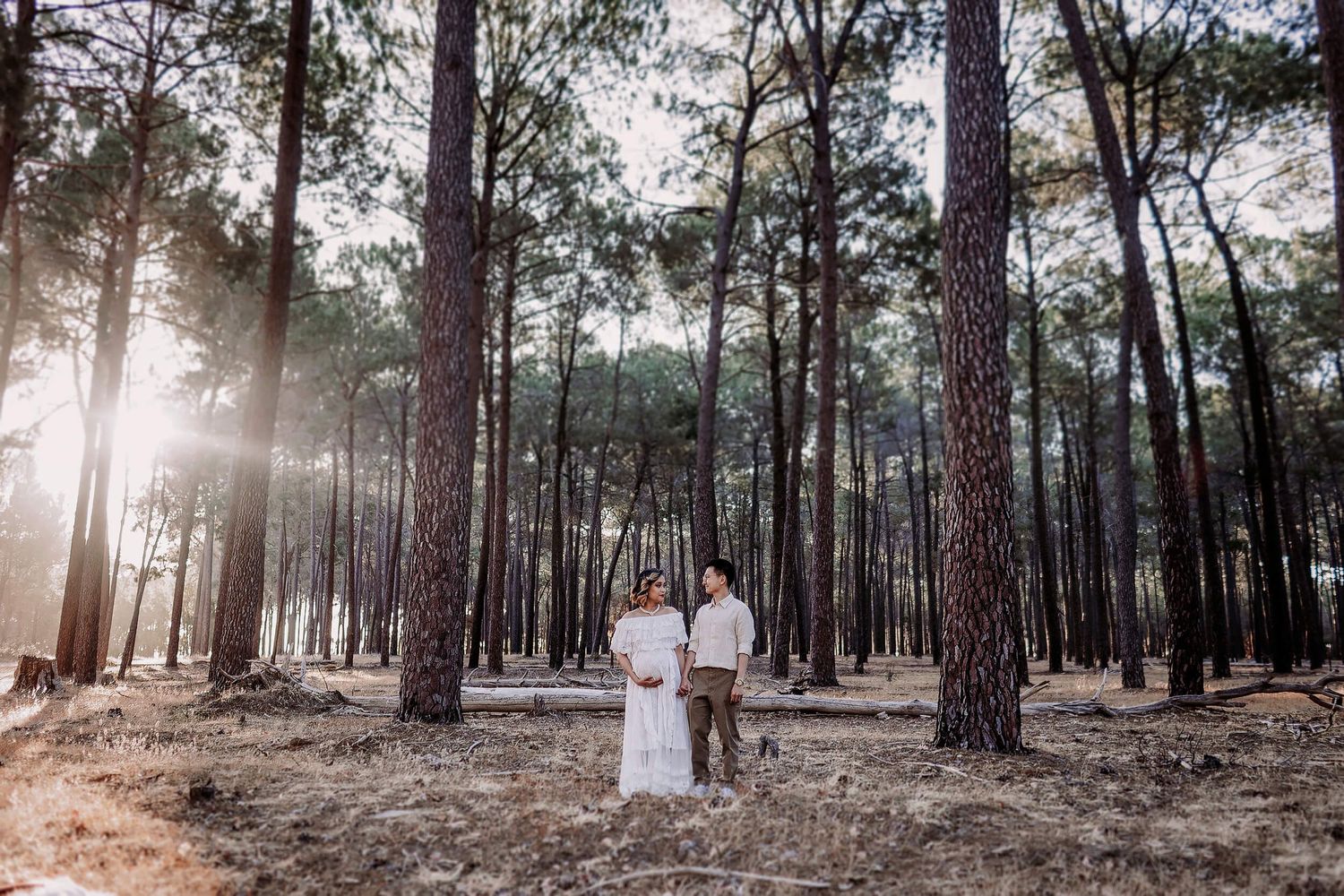 maternity photoshoot in pine forrest in Gnangarra, Perth, WA