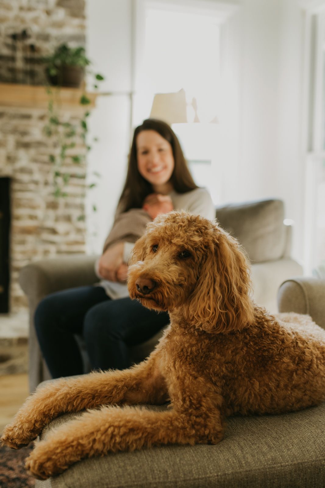 knoxville family photographer