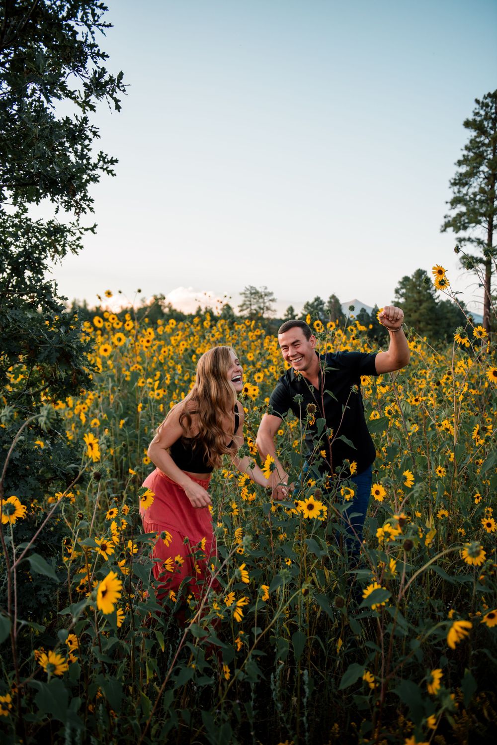 A couple embraces in a field of vibrant yellow wildflowers during sunset with tall evergreen trees in the background.