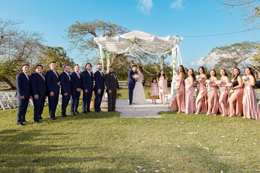Wedding pictures of wedding party