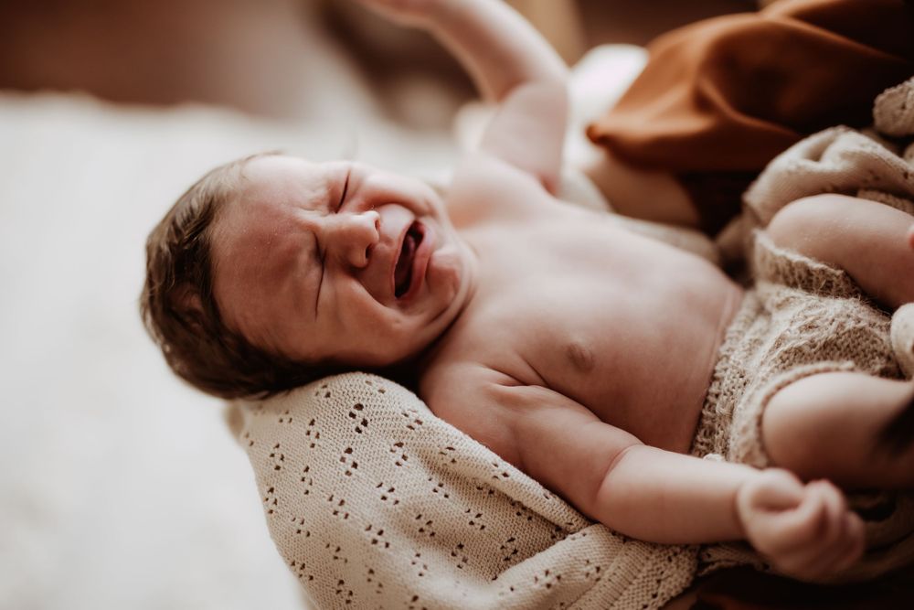 studio newborn session Kurrajong Hills