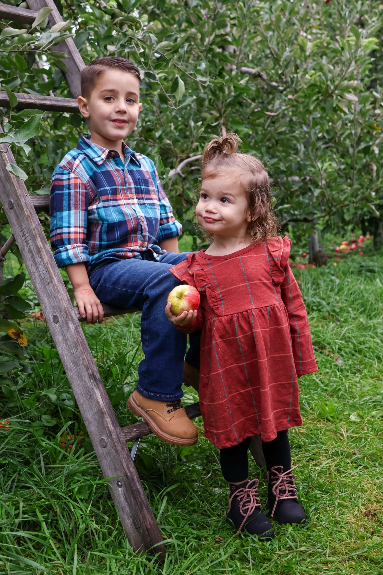Children sitting on wooden ladder in an apple orchard during autumn harvest.