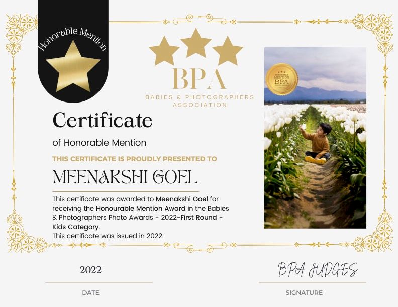 Certificate of Honorable Mention from BPA with gold stars and decorative border.
