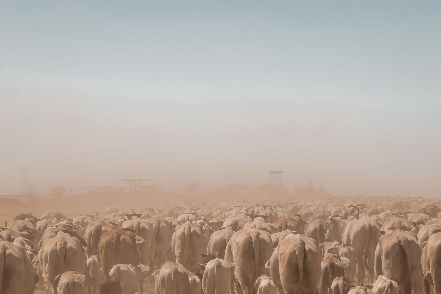 rural photography