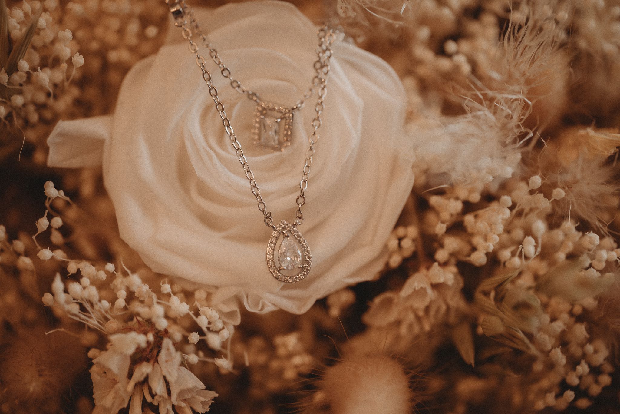A delicate silver necklace with teardrop pendant rests elegantly on a white rose in warm sepia tones.