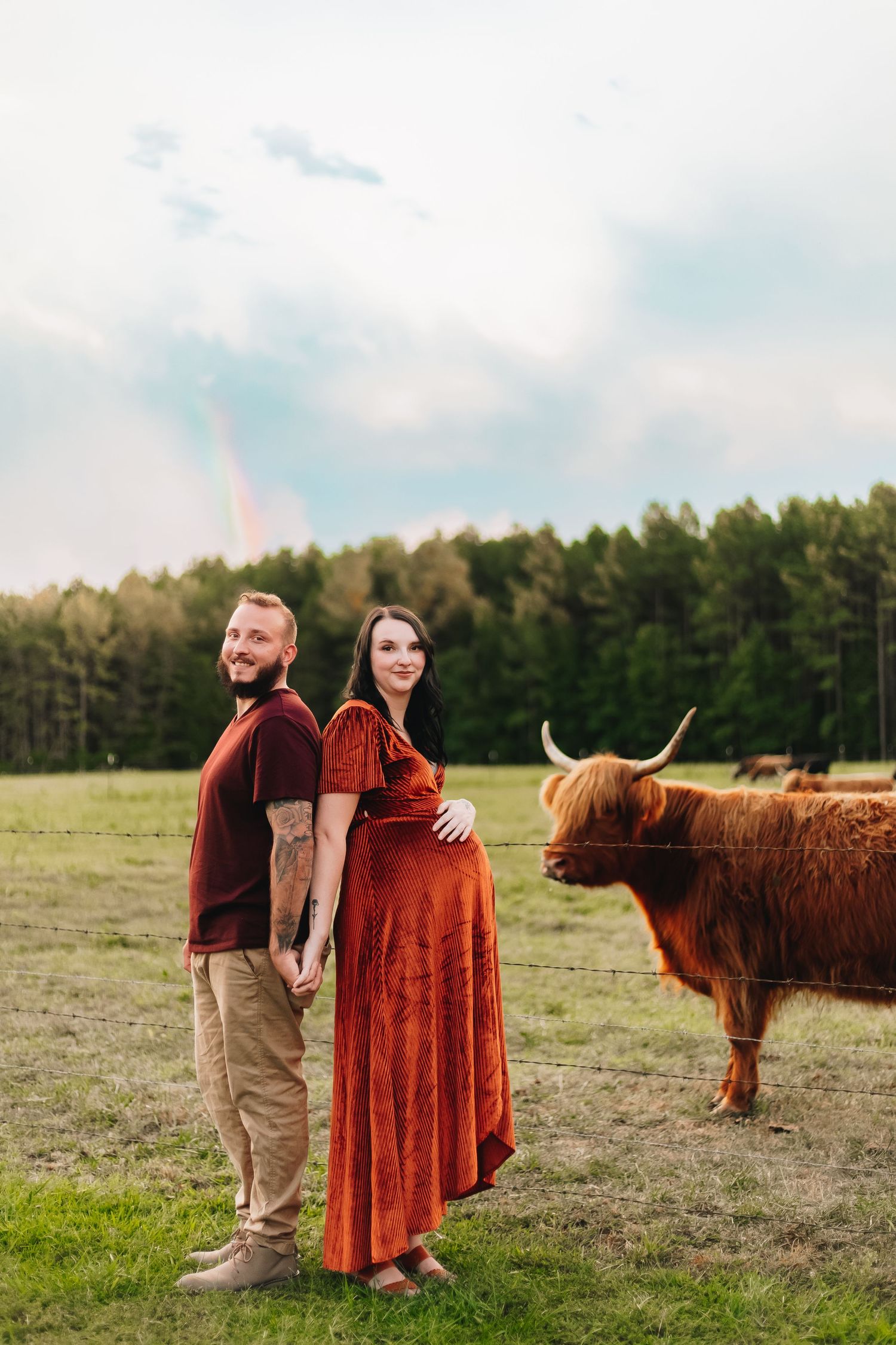 Couple posing with Highland cattle in a pastoral field during sunset.