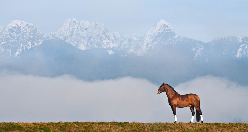 Distant mountain range with snow-capped peaks stretches across panoramic landscape.