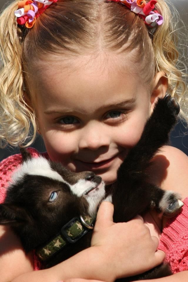 A series of close-up shots showing a child in pink embracing a small black and white kitten.