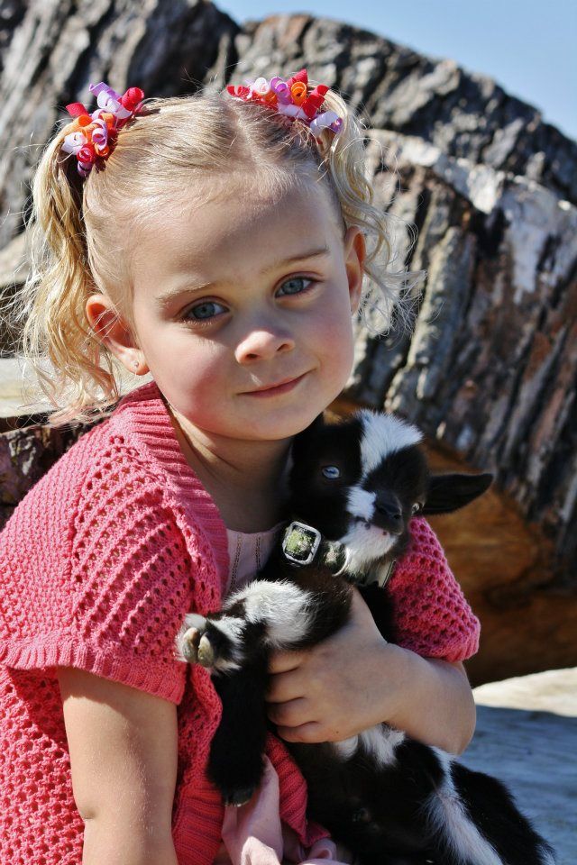 A young child in a pink dress cuddles with a black and white kitten outdoors near a rocky backdrop.