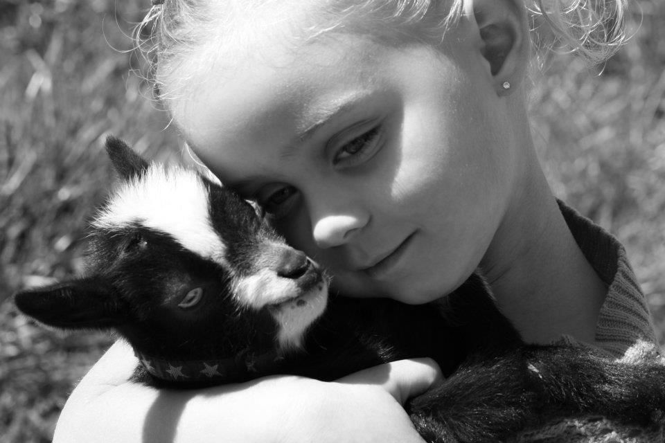 Black and white photos showing tender moments between a child and their pet kitten.