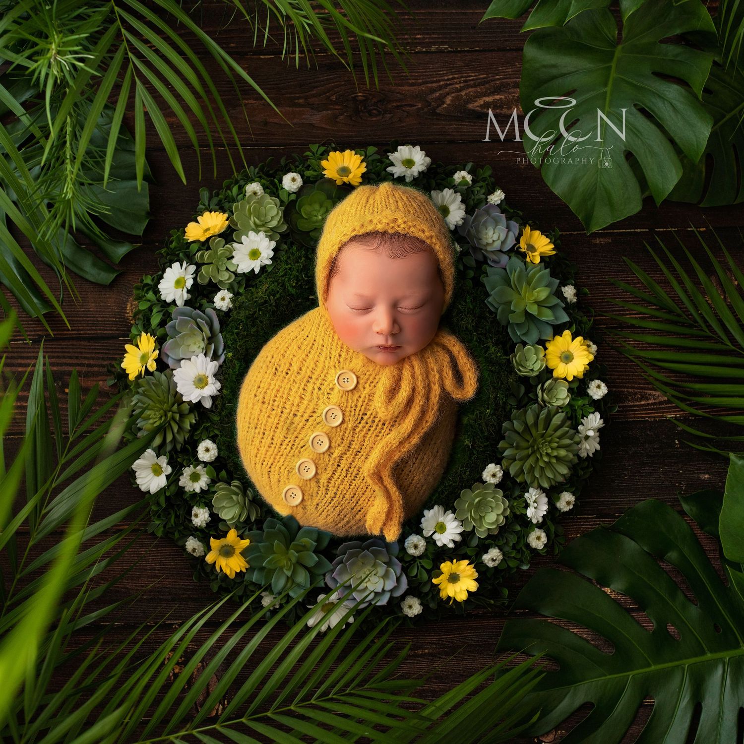 Expert newborn, maternity, family & cake smash photography in Hayes, West London. Studio & home sessions with props, backdrops & accessories