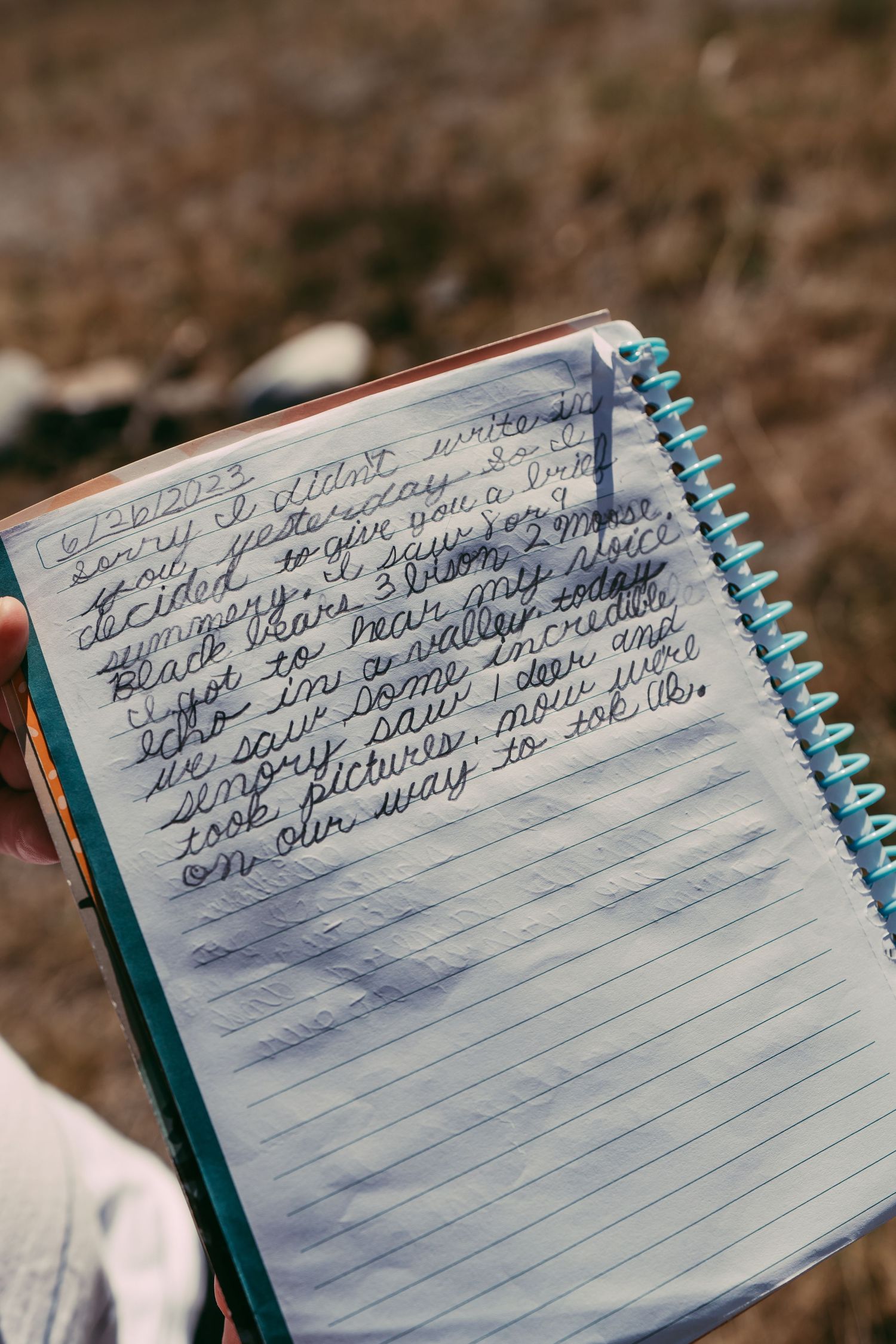 child's travel journal entry