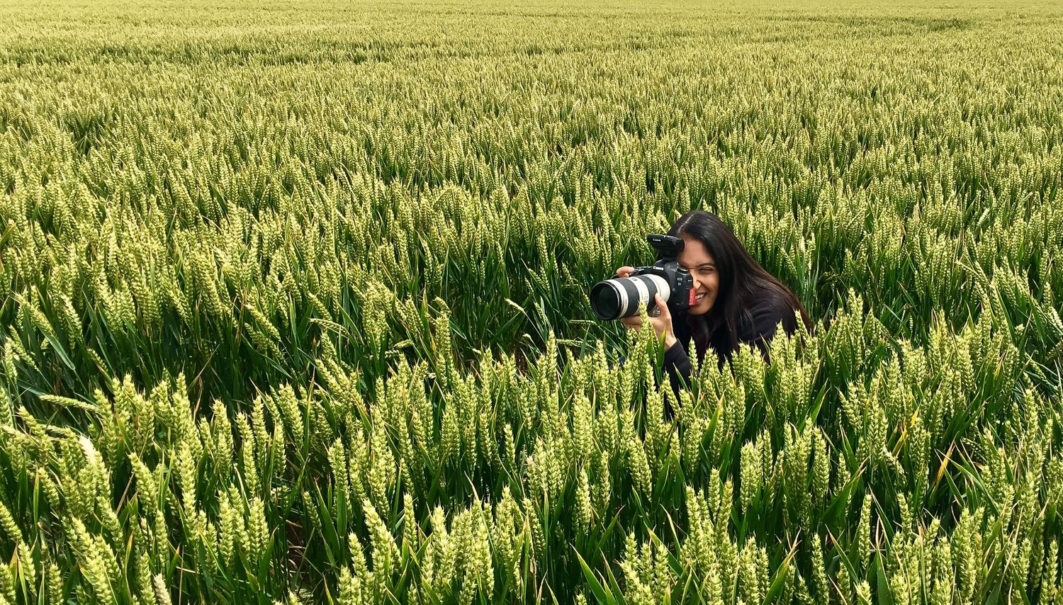 Shital hiding in a field on a prewedding shoot