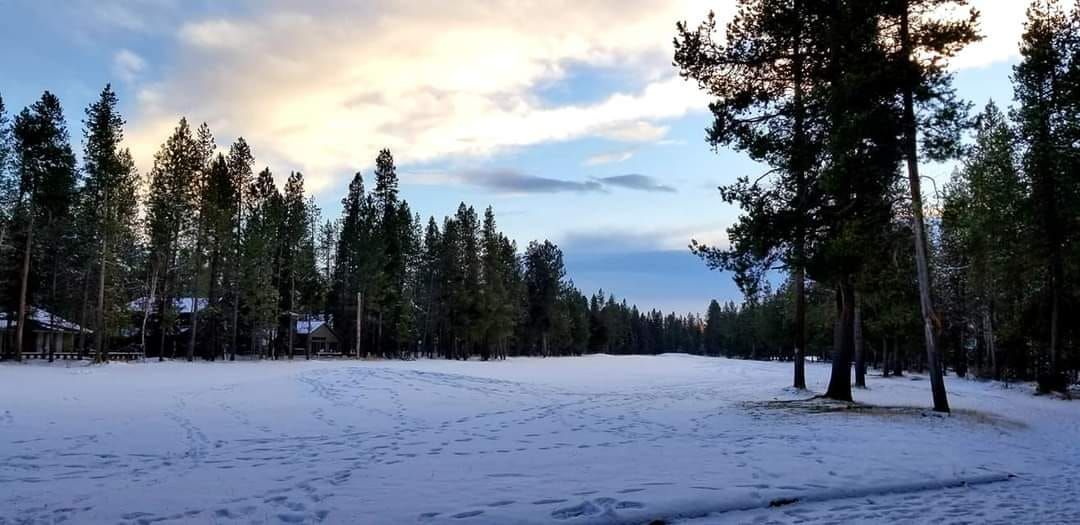 Snowy winter landscape with tall evergreen trees and a cloudy sunset sky.