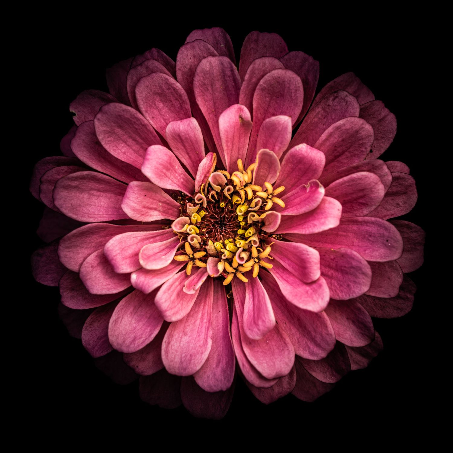 John Peters Photography