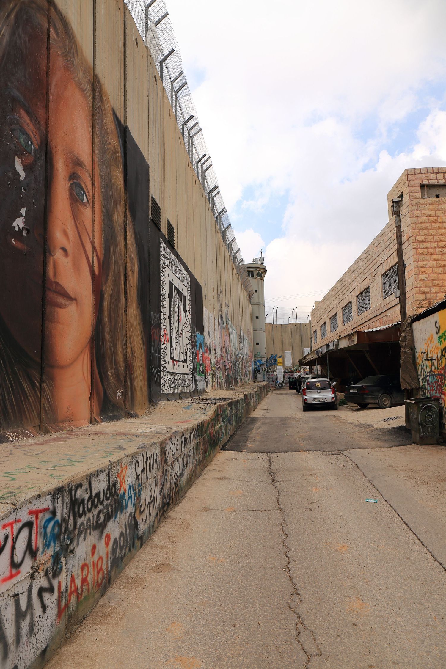 Large-scale mural art on separation wall with graffiti in an urban alleyway.