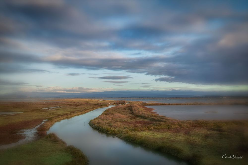 The Diaccia Botrona Natura Reserve Maremma (Tuscany) Photo Claudio Vicentini