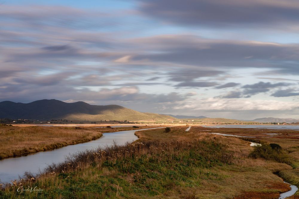 The Diaccia Botrona Natura Reserve Maremma (Tuscany) Photo Claudio Vicentini