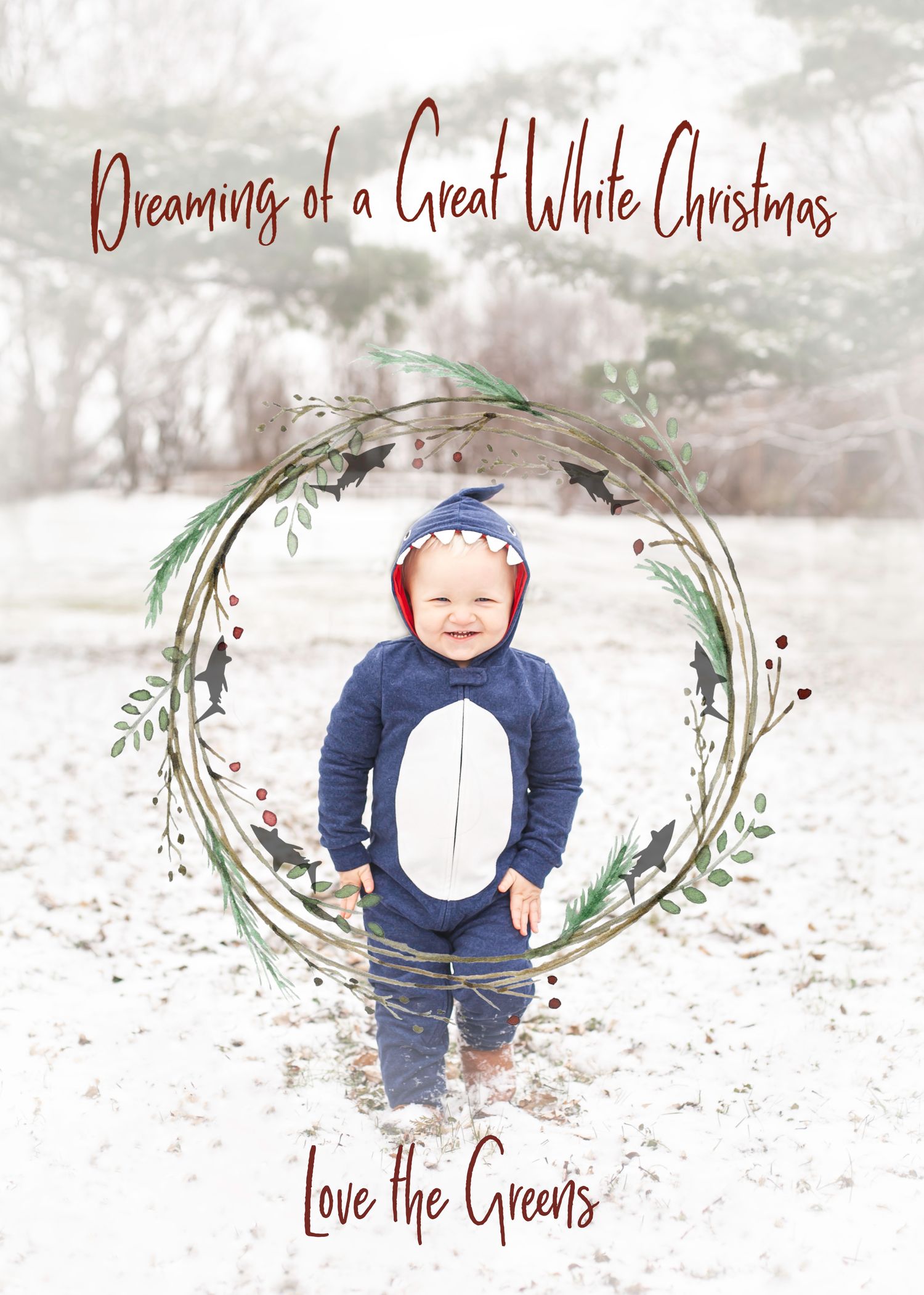 Dixon IL, Family Photographer