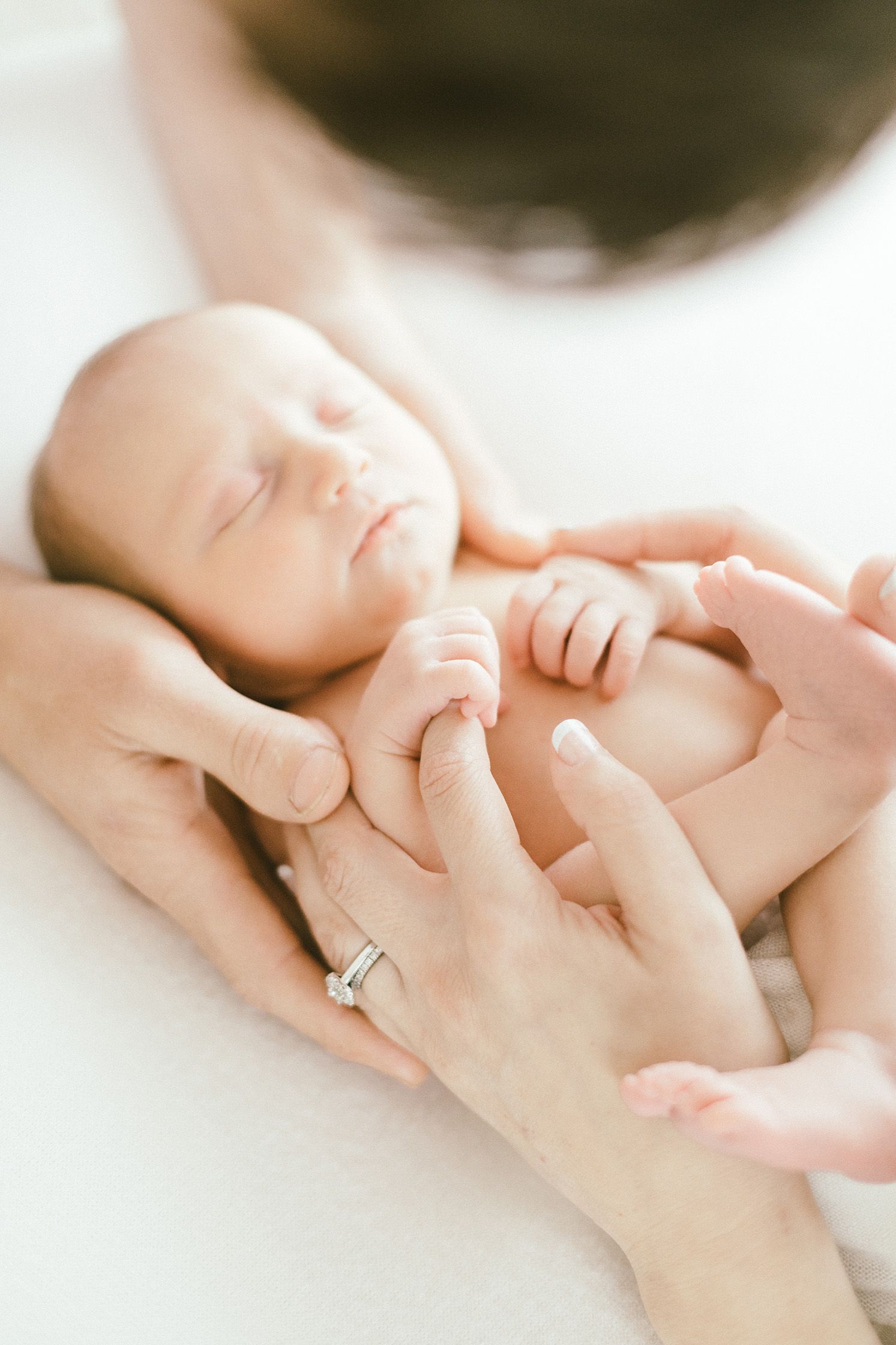 Tender moment of tiny newborn resting in gentle hands against white background.