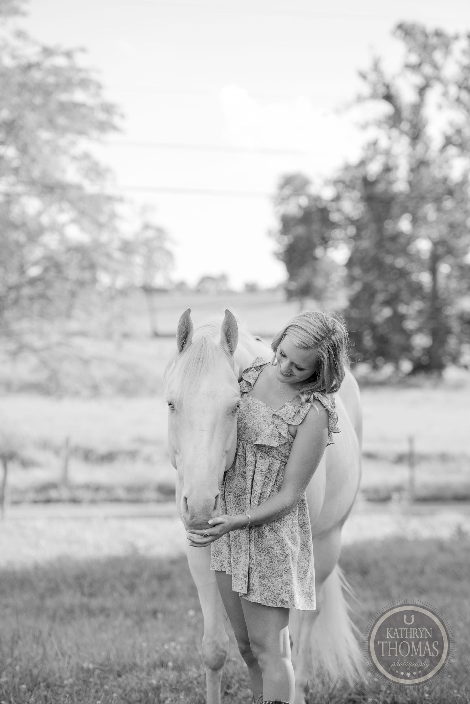 A gentle black and white portrait of a white horse in a rustic field setting.