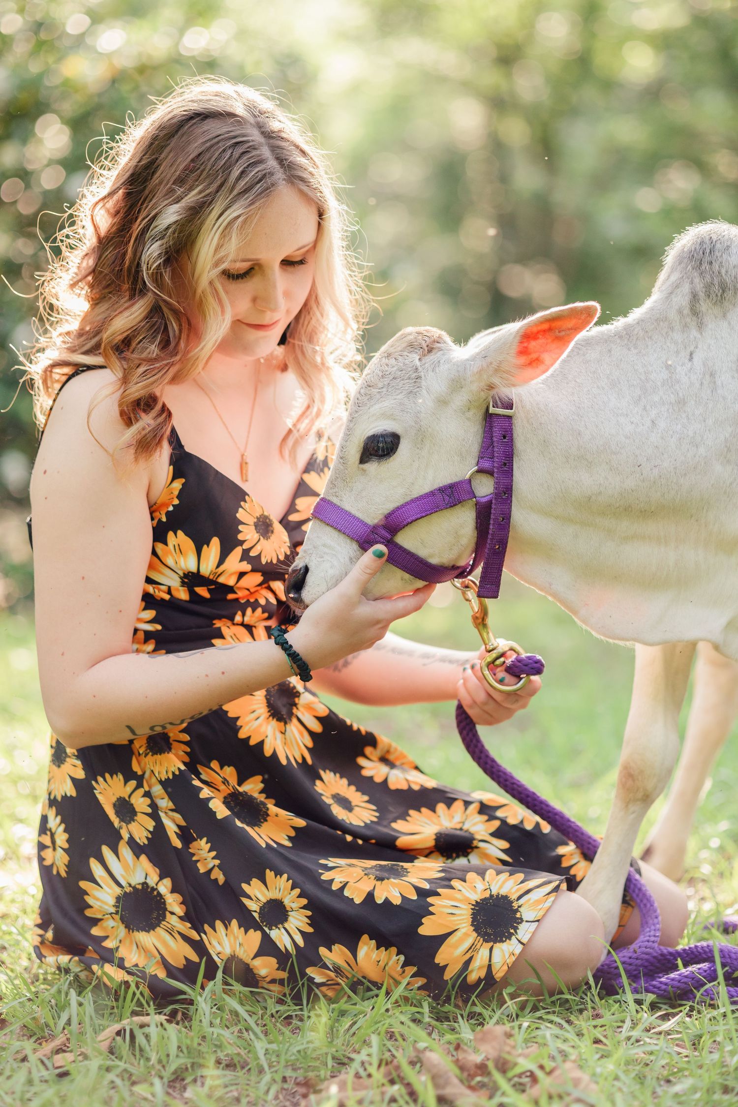 Woman in sunflower print dress sits with white donkey wearing purple halter in sunny field.