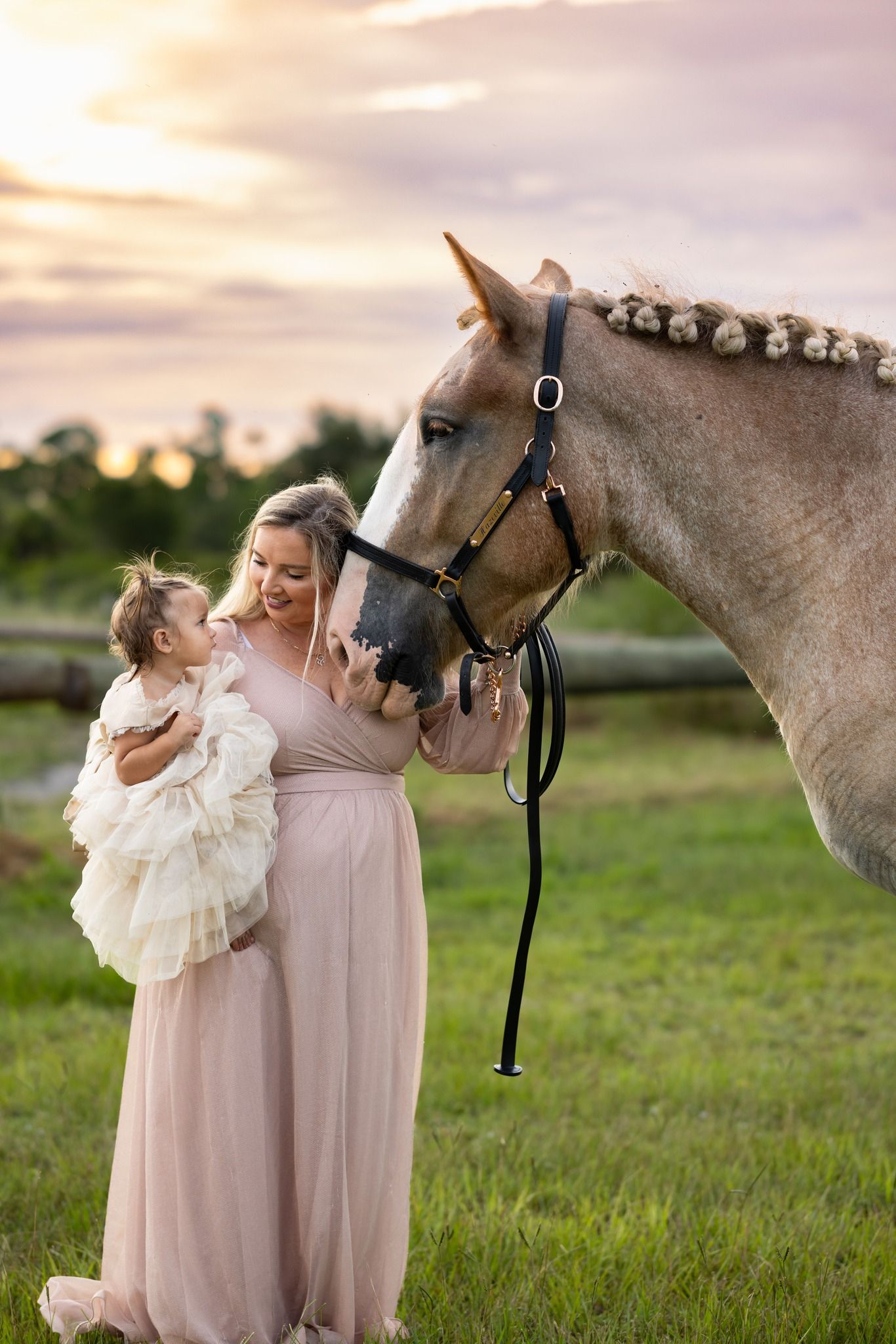 Horse with braided mane poses with people in pink dress outdoors at sunset.