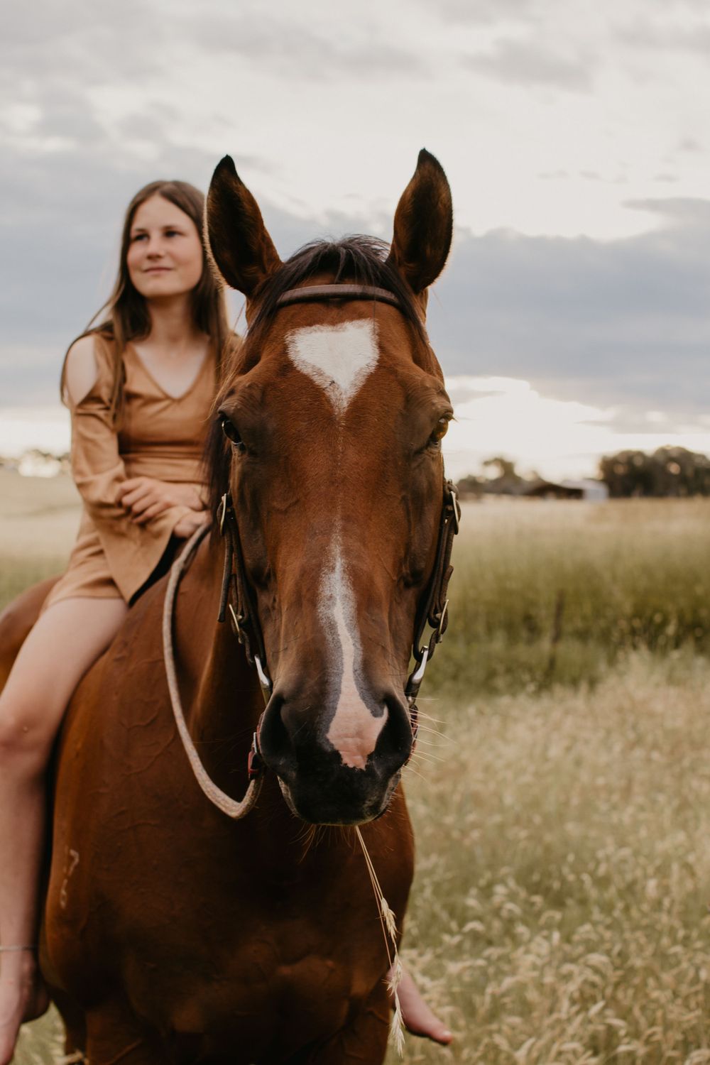 Girl on her horse looking at the photographer in a paddock with golden grass and hills in the background.
