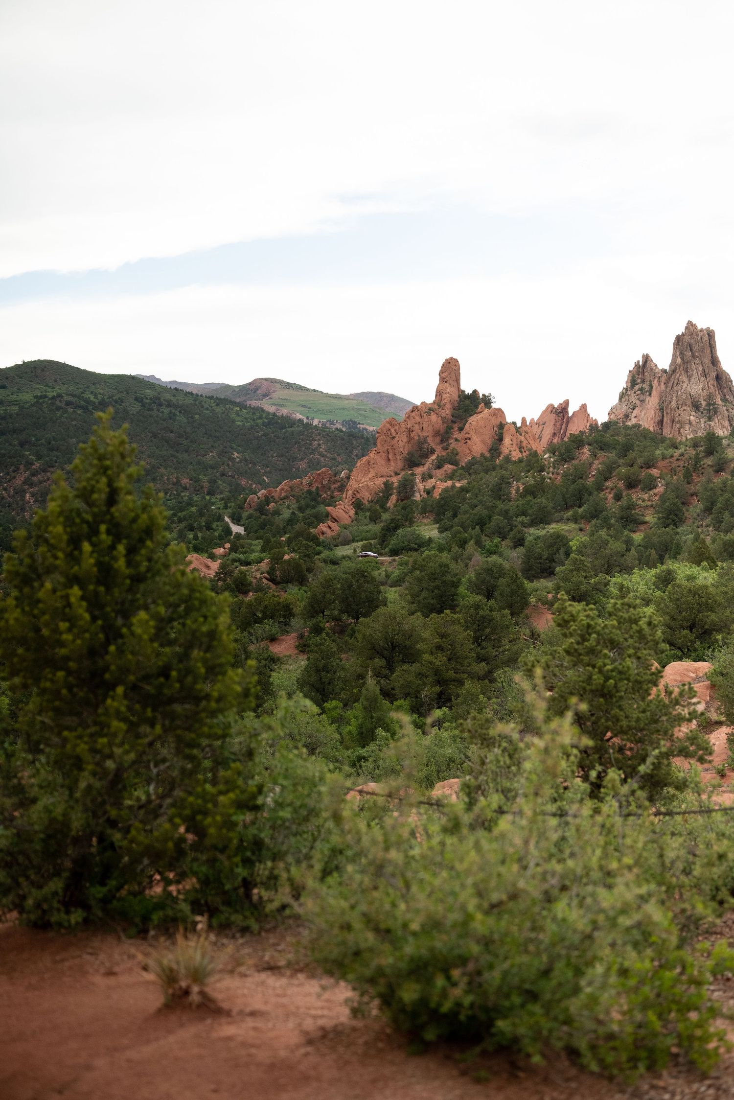 Scouting for a family photoshoot at Garden of the Gods