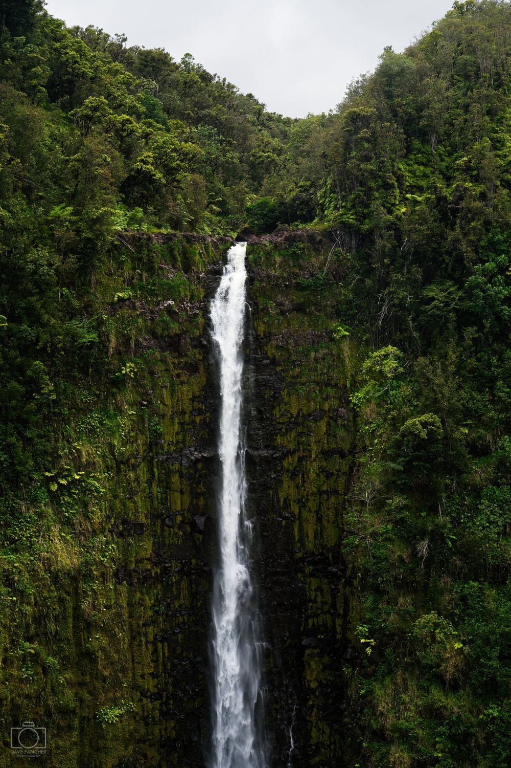 Akaka Falls