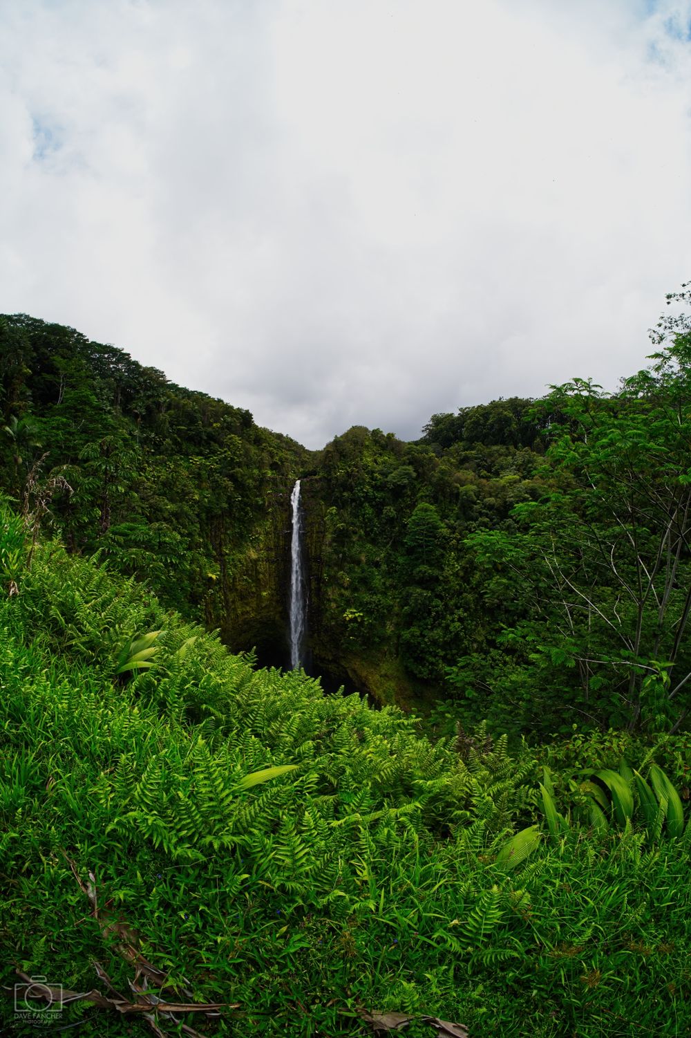 Ultrawide fisheye view of Akaka Falls