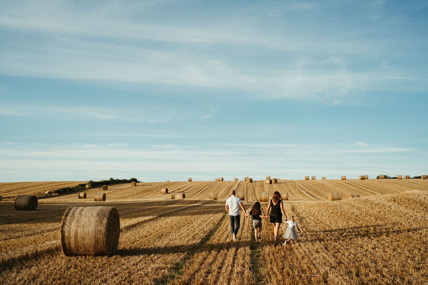 Panoramic view of a golden wheat field with hay bales under blue sky.